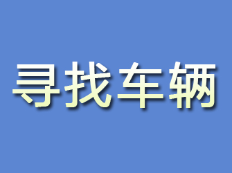 新田寻找车辆