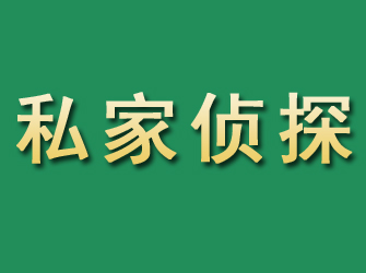 新田市私家正规侦探