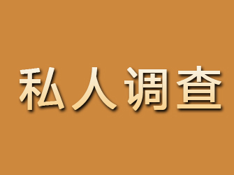 新田私人调查