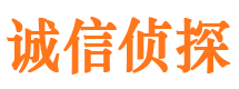 新田外遇调查取证